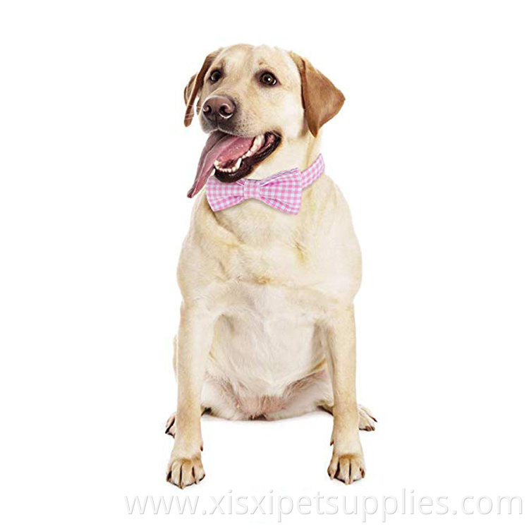 Buckle Cat Dog Collar with Bowtie Soft Comfortable Adjustable Metal Fashion Cute COLLARS D Ring/metal Buckle for Cats 1.6 Ounces